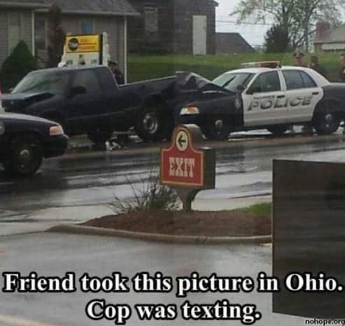 funny picture