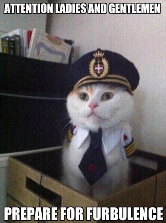 furbulence