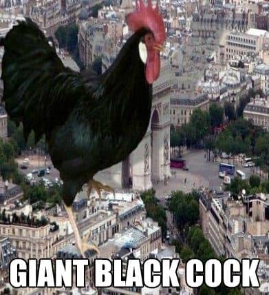 giant black cock