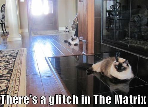 glitch-in-the-matrix-cats