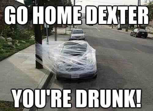 go-home-dexter