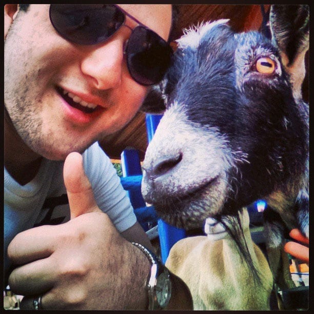 goat-selfie