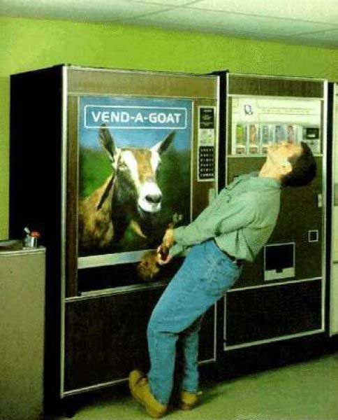 goat-vending-machine