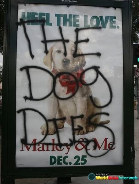 graffiti dog dies