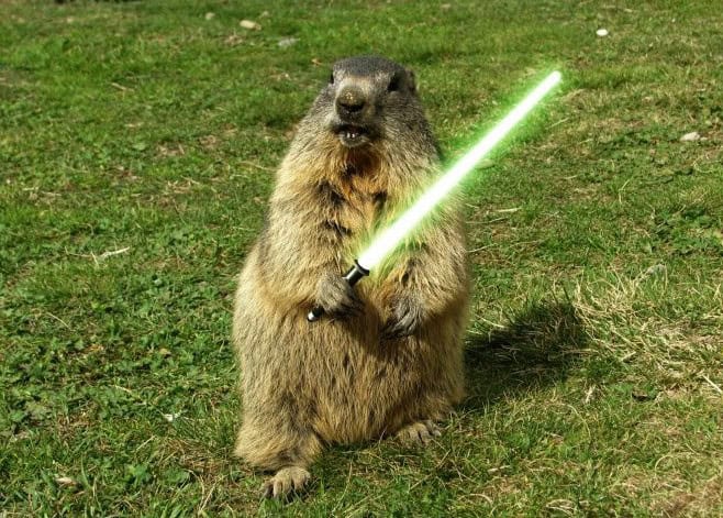 groundhog lightsaber