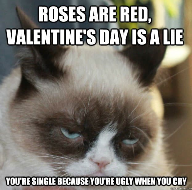 grumpy-cat-memes