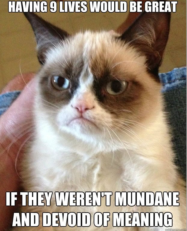 grumpy cat memes