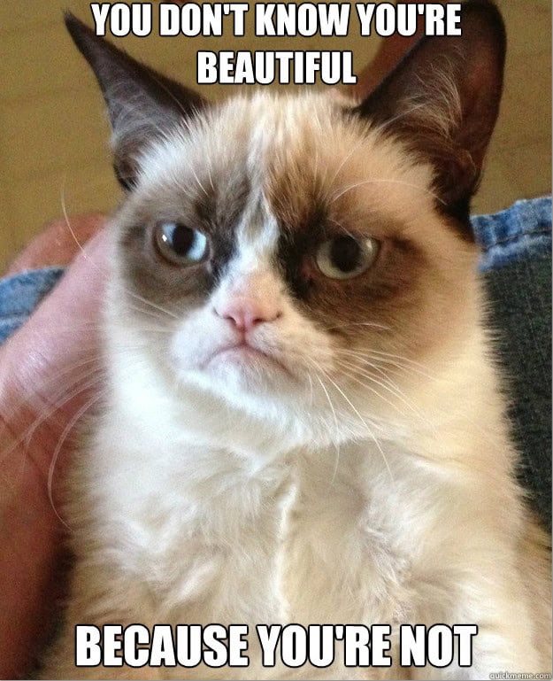grumpy cat memes