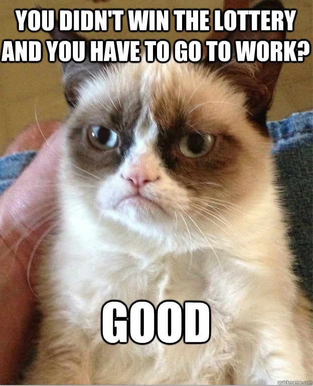 grumpy cat memes