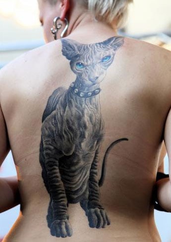 hairless-cat-tattoo