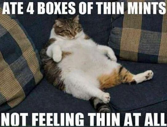 happy-girl-scout-cookies-day