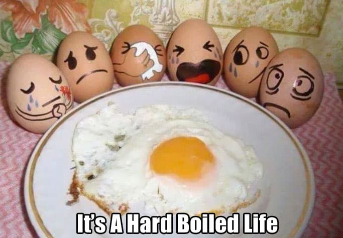 hard-boiled-life