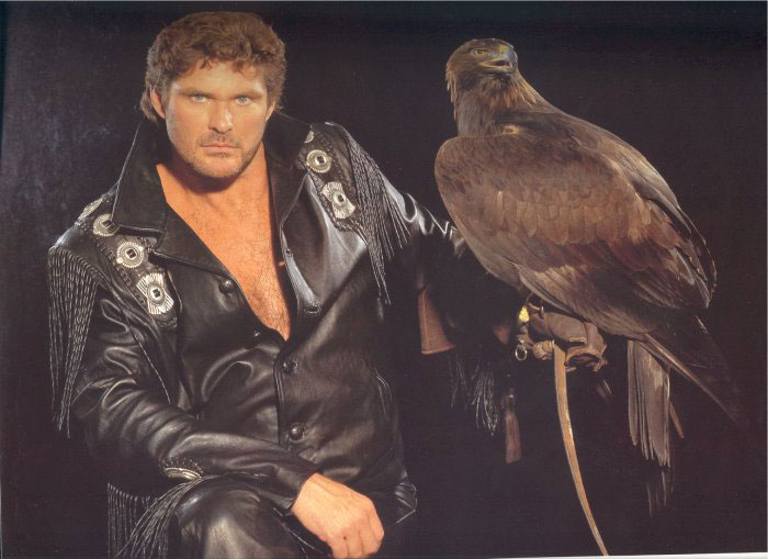 hasselhoff-falcon