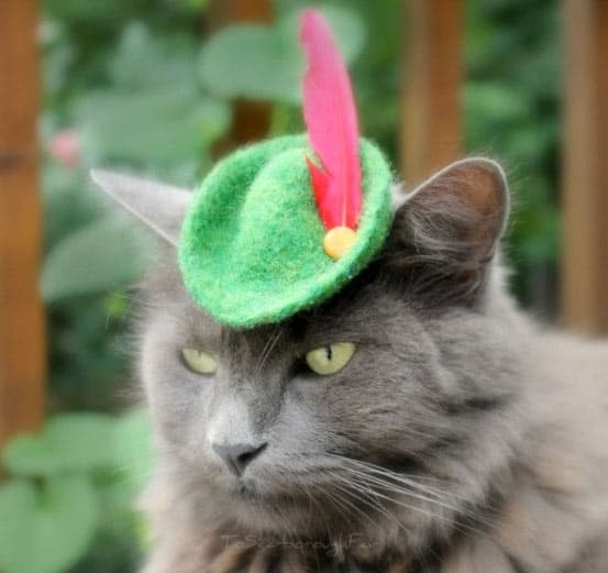 hats-for-cats-photos