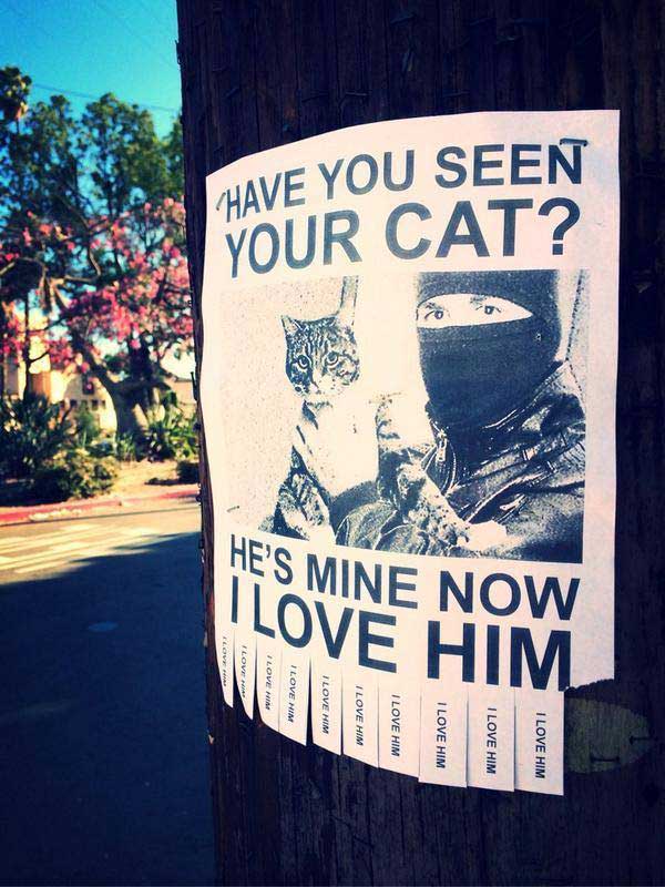 have-you-seen-your-cat
