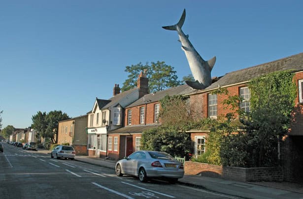 headington shark