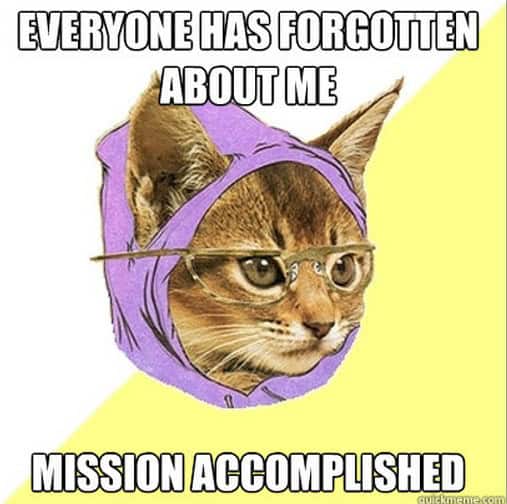 hipster kitty memes
