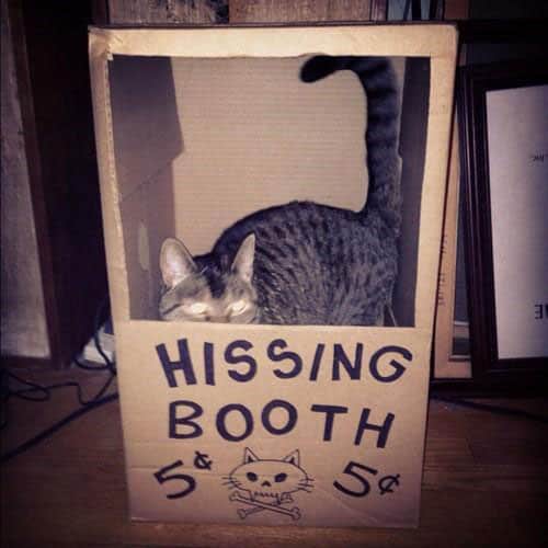 hissing-booth