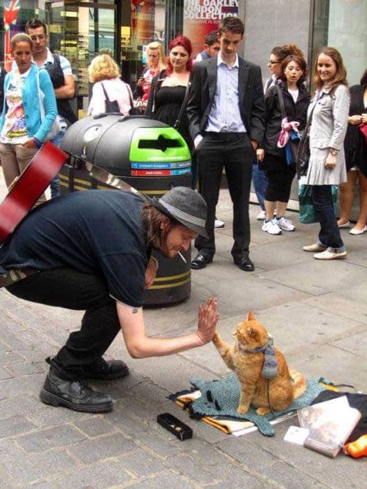 Homeless Musician And His Cat Bob (GALLERY)