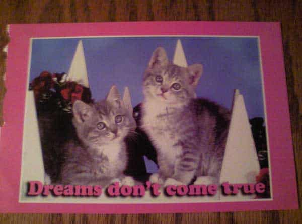honest-greeting-card-pics