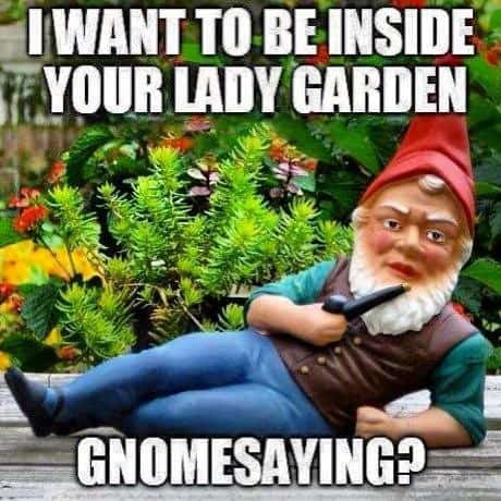 horny-gnome