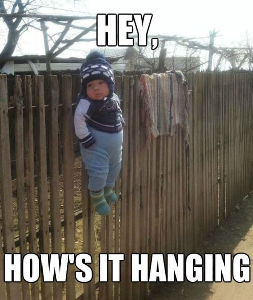 hows-it-hanging