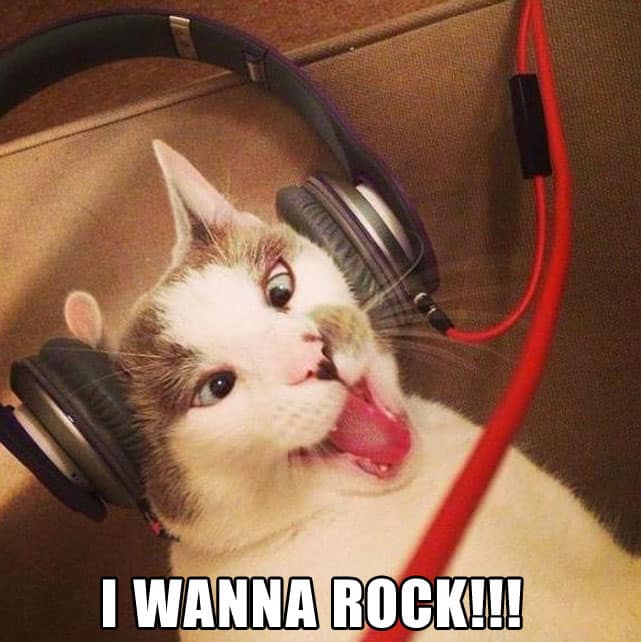 i-wanna-rock-cat