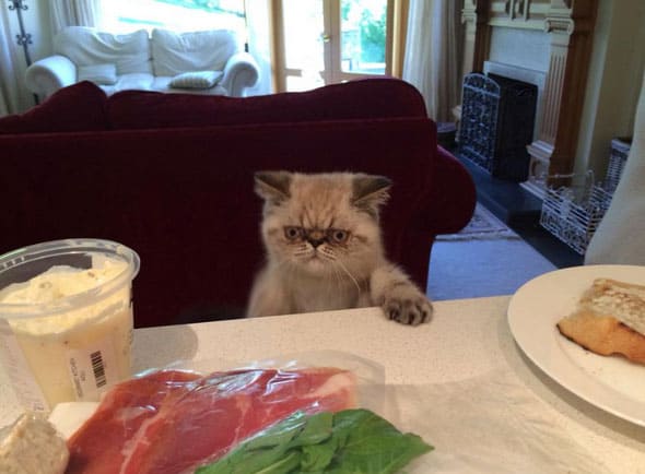 is-that-my-salmon