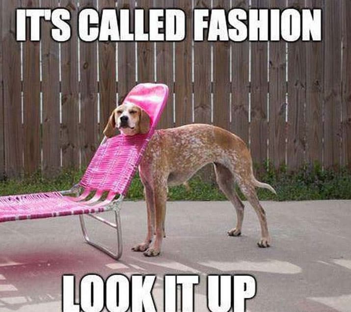 its-called-fashion