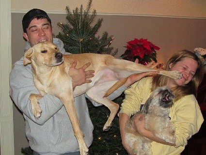 jealous dog