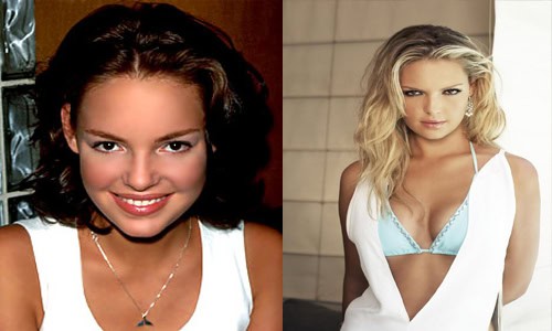 katherine heigl brunette