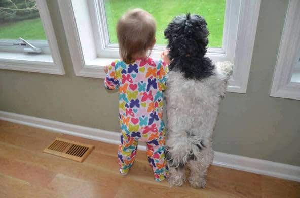 kid-with-dog