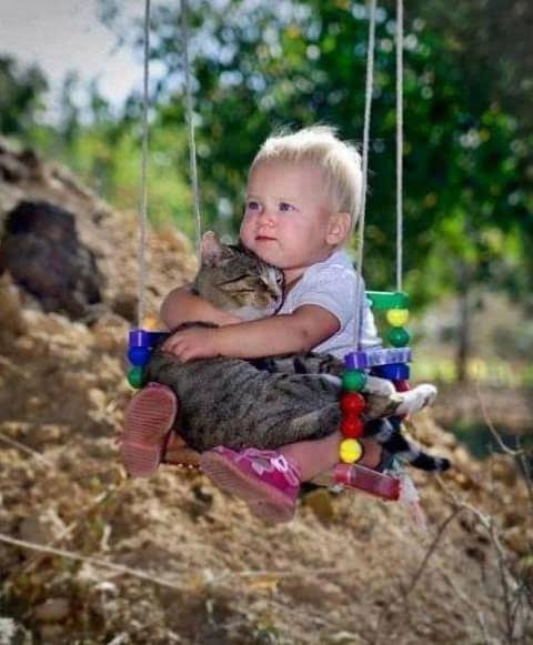 kids-with-cats