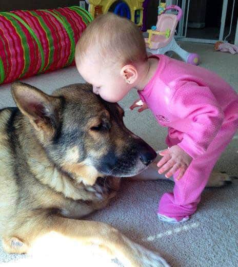 kids-with-doggies