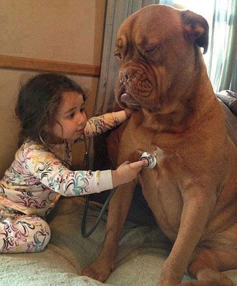 kids-with-pets-adorable