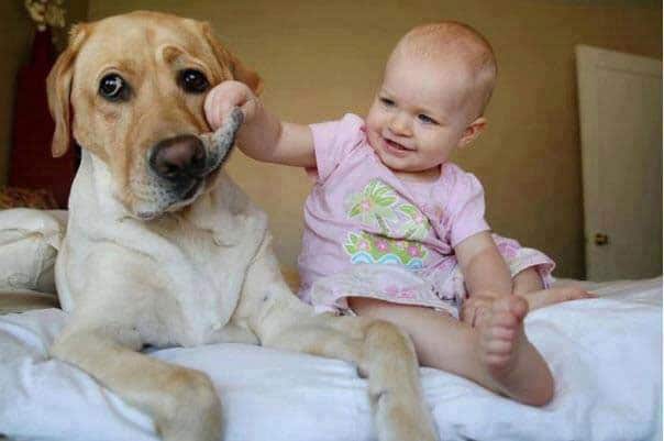 kids-with-pets-pics