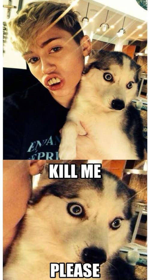 kill-me-please