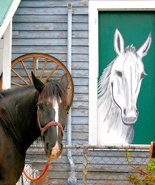 life imitates art pics gallery