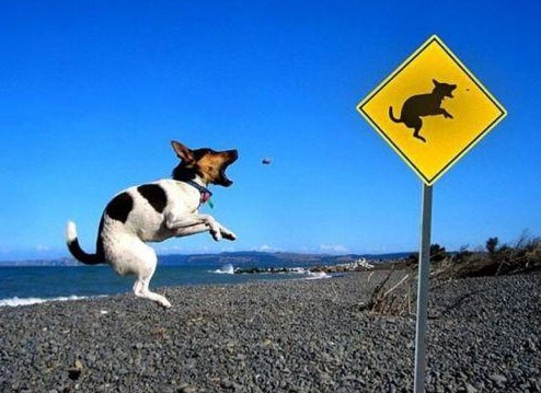 life imitates arts