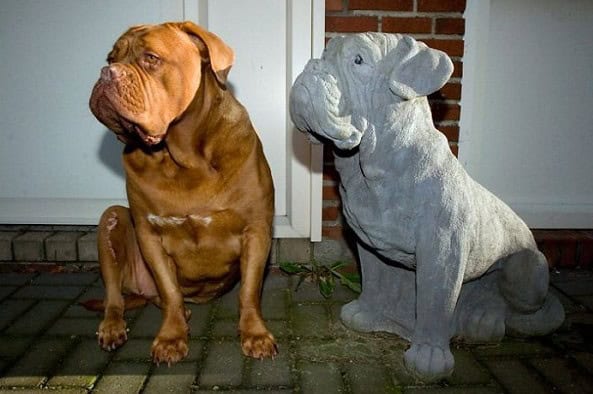 life imitating art funny