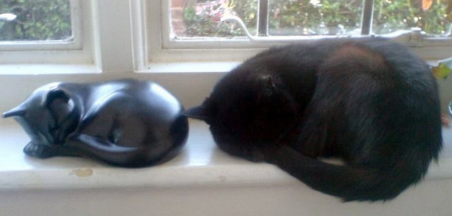 life imitating art pics
