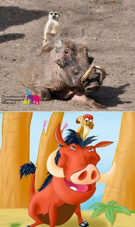 life imitating art pics gallery