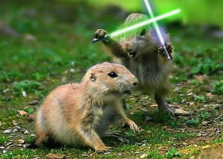 lightsaber animals