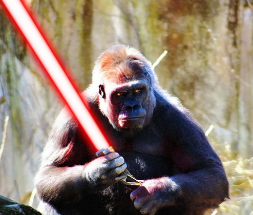 lightsaber gorilla