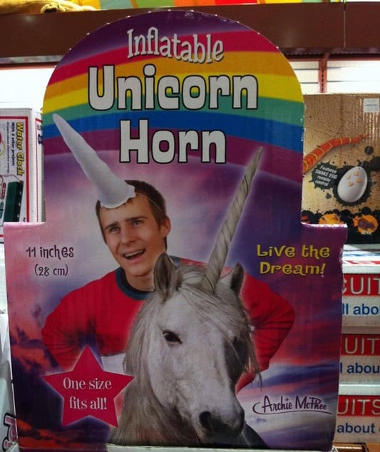 living the dream unicorn