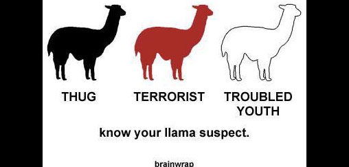 llama-terrorist