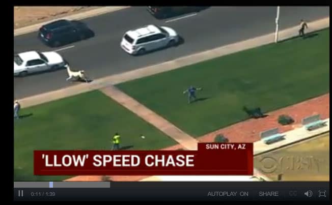 llow-speed-chase