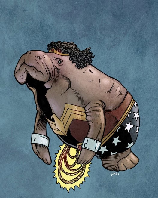 manatee wonder woman