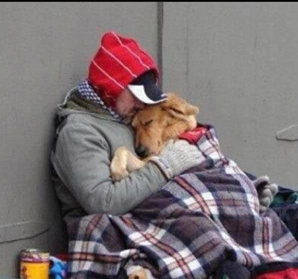 mans-best-friend-homeless