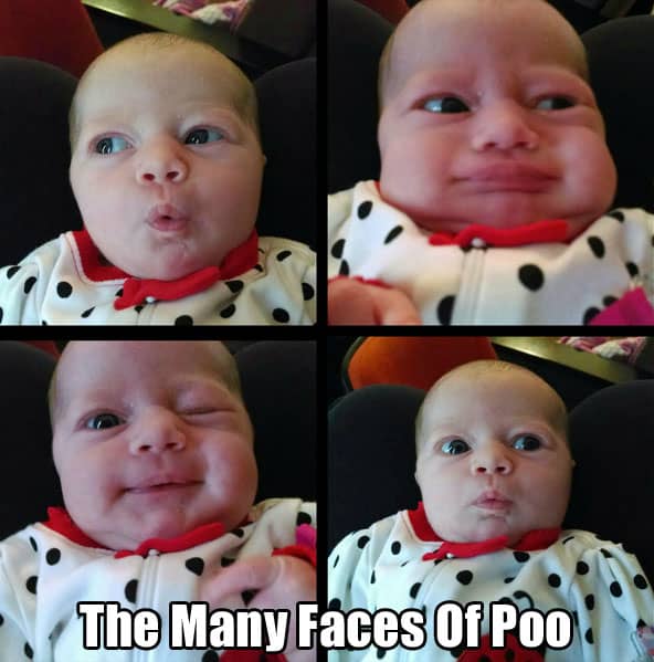 many-faces-of-poo